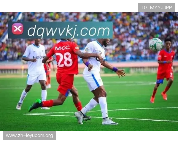 乐鱼官方入口揭秘：官方入口的最新变化及其对玩家体验的影响分析