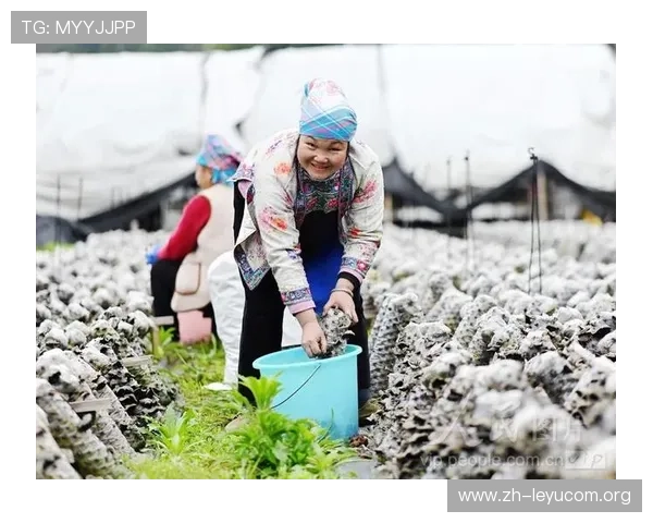 乐鱼平台下载安装教程及最新版本更新内容全面介绍