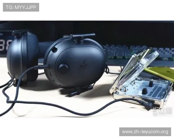 乐鱼电竞专业版下载安装流程详解，解决用户在下载过程中遇到的问题