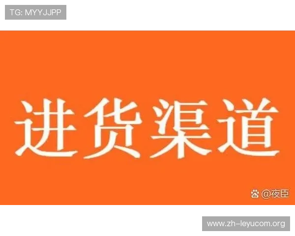 乐鱼网页版登录官方网站入口全面指南，帮你轻松找到官方登录路径与安全密码保护